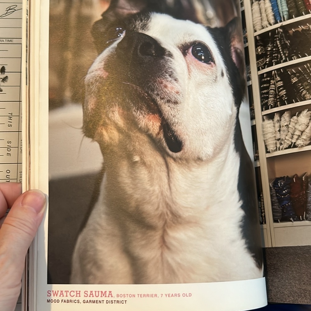 Dog book bundle - Picture 5 of 7
